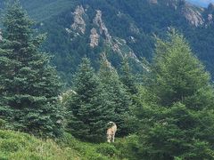 -芦芽山旅游度假区