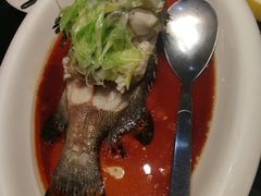清蒸老虎斑-徐记海鲜(陕西历史博物馆|明德门店)