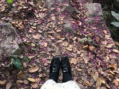 -云溪植物园