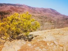-阳台山自然风景区
