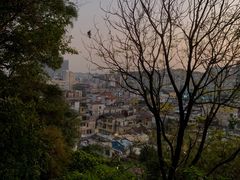 -佛山华盖山公园