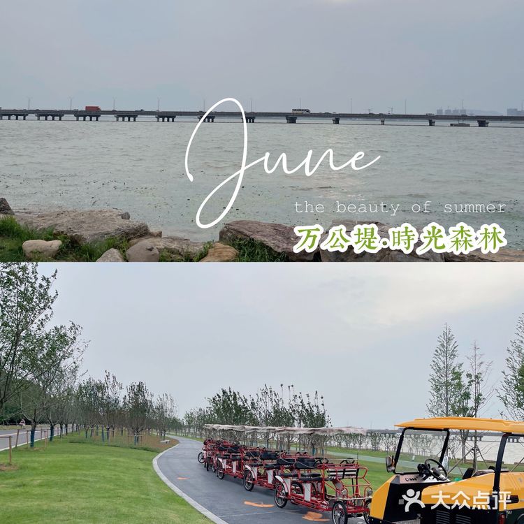 绿皮火车上竟藏着一家茶餐厅 ‼️吴江新晋网红打卡地速来打卡🤙