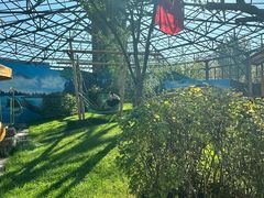 -鄂尔多斯野生动物园