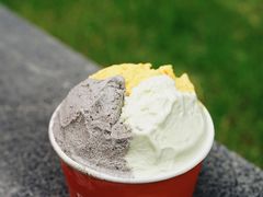 斑斓椰子-Dal Cuore 达可芮冰淇淋(陕西北路店)
