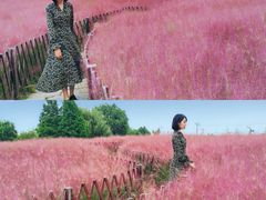 -羊亭河湿地公园