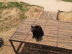 -青岛森林野生动物世界