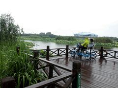 -荷塘月色湿地公园·向阳花洲
