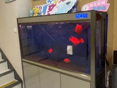 -艾维口腔(春江花月门诊部)