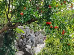 -南京市民俗博物馆(甘熙宅第)