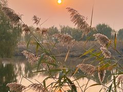 -大兴滨河森林公园