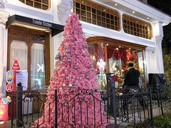 -秘密旅行Bonjour(黑金冠 江南西店)