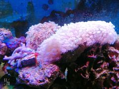 -海南热带海洋学院(三亚校区)