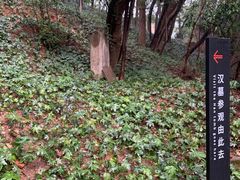 -马王堆汉墓遗址