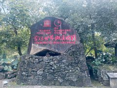 -海口火山口国家地质公园