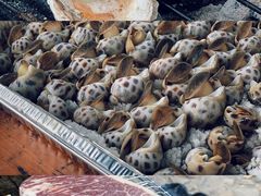 -楠溪江风景名胜区