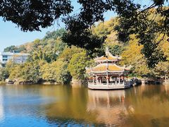 -潮镇老尾牛杂(环城西路店)