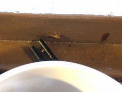 -金莲记(茨厂街店)