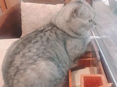 -隅cafe(傅厚岗店)