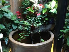 -陌上花开餐厅(云山路店)