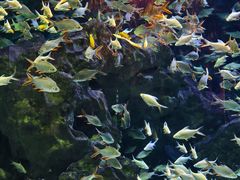 -成都浩海立方海洋公园