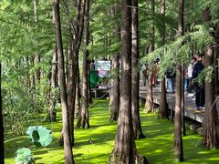 -云龙湖旅游景区