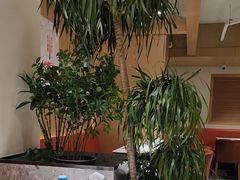 -阿婆春饼烤鸭(广渠门店)