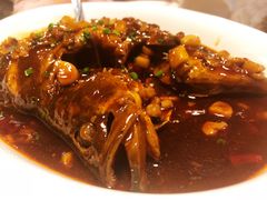 -同庆楼(金宝汇店)