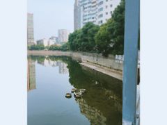 -喷泉公园