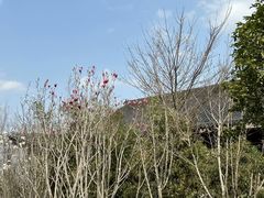 -洋湖国家湿地公园