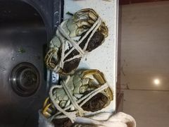 -喜洋洋蟹庄(阳澄湖店)