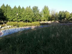 -羊亭河湿地公园