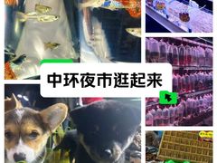 -中环花鸟鱼虫市场