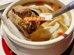-蕉棠·鸽子餐厅(柳州万象城店)