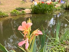 -人民公园(罗湖区)