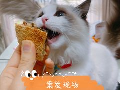 -陈记紫菜饼(湖滨霞店)