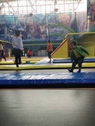 -爱丽丝奇幻乐园