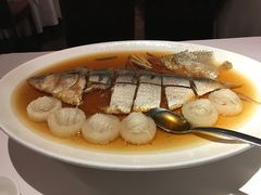 -苏浙总会(国金中心店)
