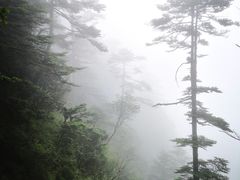 -农家土菜老煨锅(木鱼镇店)