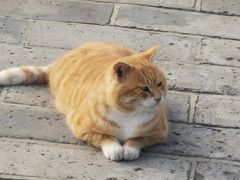 -蓬莱阁景区