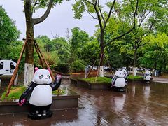 -都江堰中华大熊猫苑