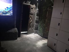 -暴风岛沉浸式体验馆(百联世纪店)