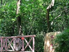 -广州市白云山风景名胜区