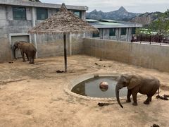-西霞口神雕山野生动物世界