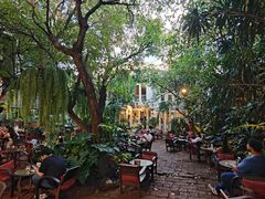 -Fern Forest Cafe