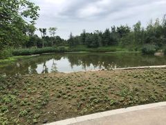 -白鹭湾湿地公园