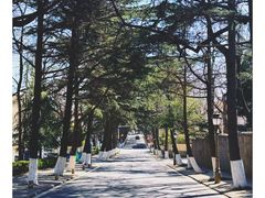 -八大关景区