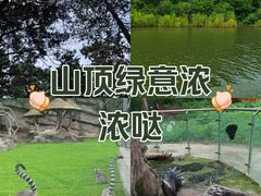-长春净月潭风景名胜区