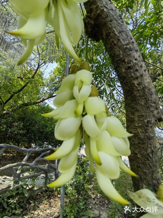 叱石风景区图片
