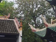 -白帝城·瞿塘峡景区