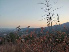 -北京西山国家森林公园